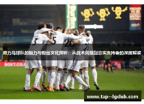 魔力鸟球队的魅力与粉丝文化探析：从战术风格到忠实支持者的深度解读